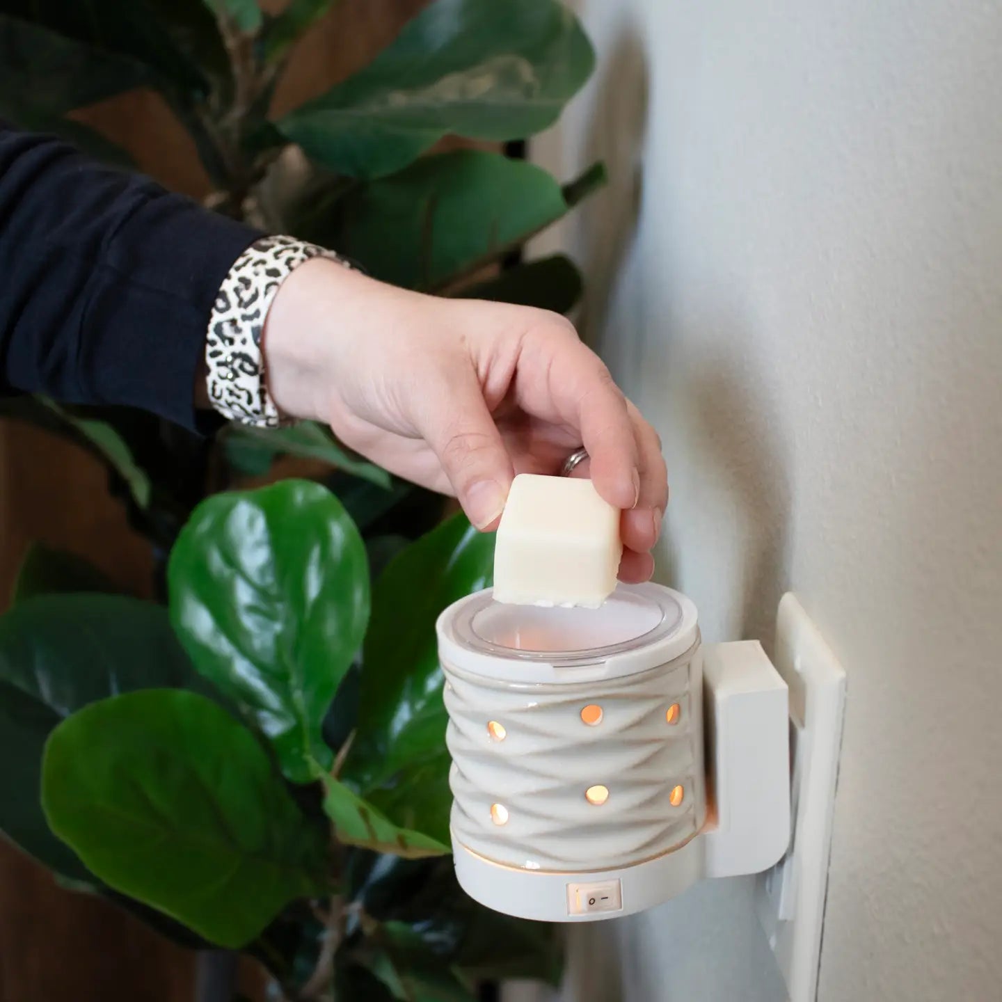 Wax Melts: Jasmine & Honeysuckle