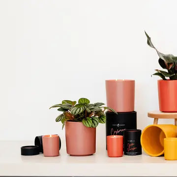 Earth & Ember 13 oz Candle: Cashmere Blush